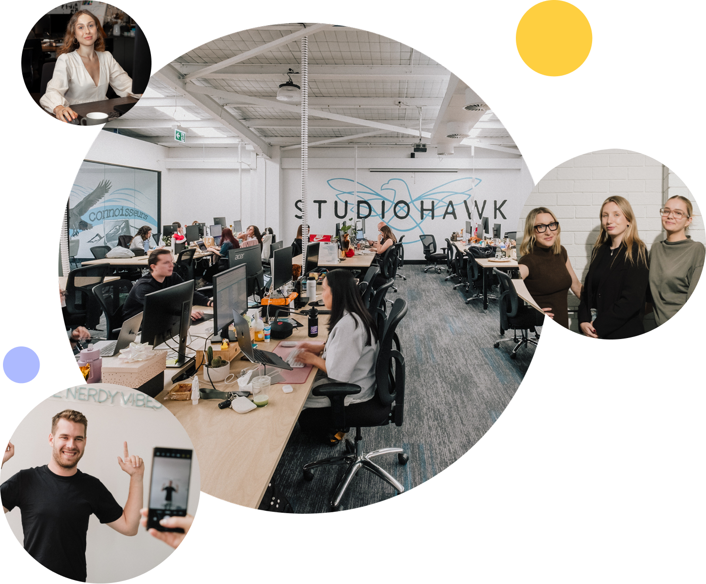 content services hub