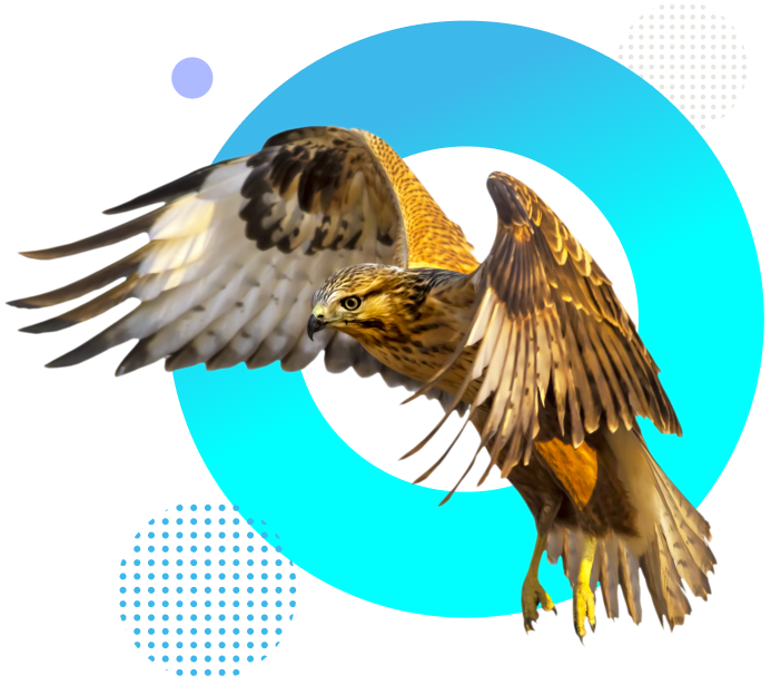 SEO for Hotels StudioHawk