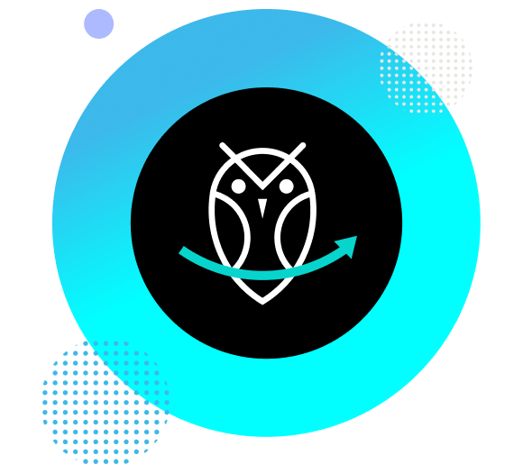 Sharewise Outranked Financial Sharewise Outranked Financial