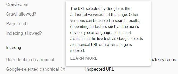 canonical in google search console